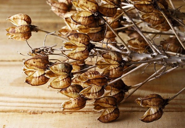 Comment éviter les troubles de la thyroïde grâce à l'alimentation ?